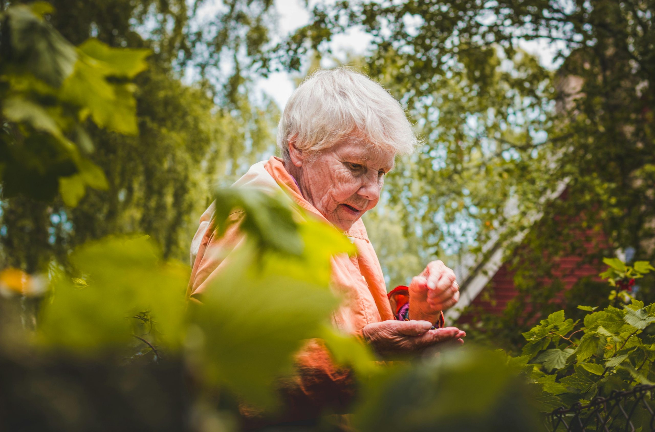 senior woman gardening outside